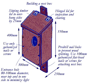 Possum nesting boxes should have a sloping timber roof, hinged lid for inspection, galvanised nails or screws, an entrance hole 80 - 100mm in diameter. It should be 550mm high, 250mm deep and 300mm wide.